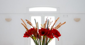 Villa Aurelia Suites and Apartments